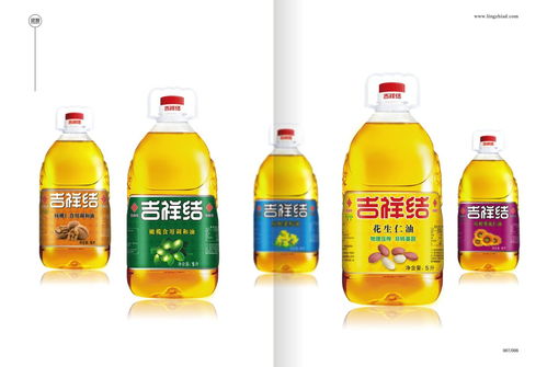 食用油包装设计 包装设计 郑州食品包装设计 十余年深耕食品行业