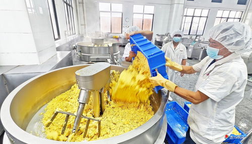 徐闻一食品加工厂 生产线全力恢复