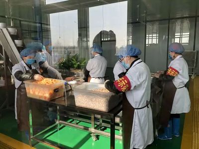 抗疫复工两不误!同心县27家企业有序复工复产