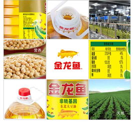 中秋金龙鱼非转基因东北大豆油5l 桶 食用油三级豆油家用酒店餐饮 包邮