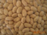 唐山润泽粮油食品