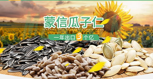 汽车行业如何玩转抖音 这家企业利用矩阵增粉50万