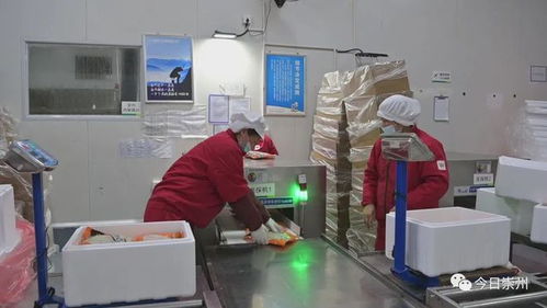 建圈强链 这个园区预计今年产值达到18亿元