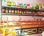 (转让) 和兴路 康宁三道街 粮油店出兑转让 食品仓买店转让出兑